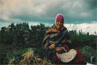 “أم كريم”.. قصة كفاح سيدة ريفية وثقتها الكاميرا