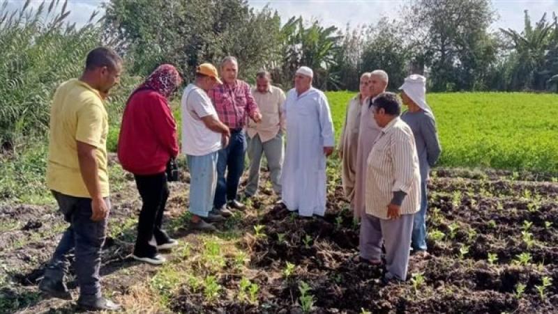 جانب من أنشطة مبادرة المراكز الإرشادية