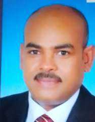 عبير نعيم تكتب: الإنتخابات و الوعى المجتمعى