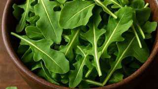 فوائد تناول الجرجير.. كنز أخضر رخيص الثمن يقوي الأعصاب ويزيد الجمال