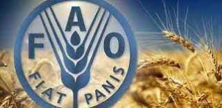 الفاو: أسعار السلع الغذائية الأساسية العالمية تتراجع للشهر الثالث في نوفمبر
