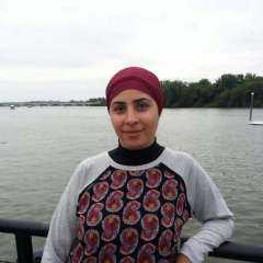 د. اميرة مصطفى تكتب: كيف تنهض أقوى بعد الانهيار؟